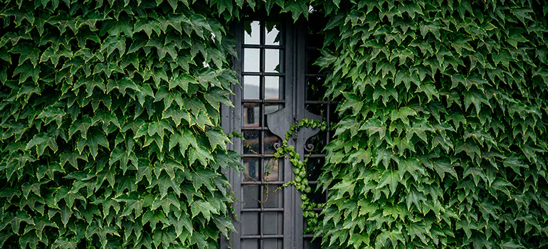 Garden Gate Repair in Union City, CA
