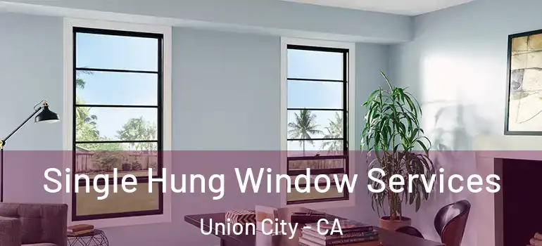  Single Hung Window Services Union City - CA